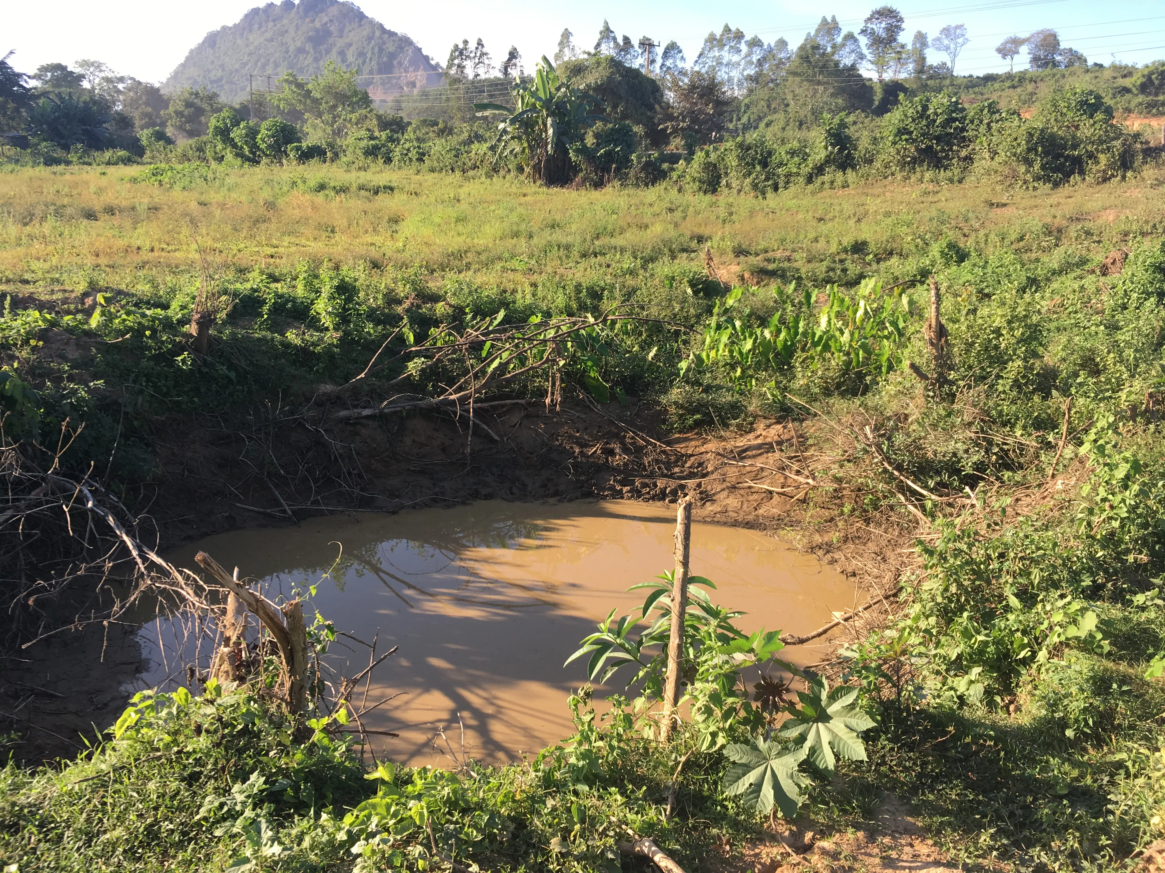 In a field, a small pond created by a bomb crater.