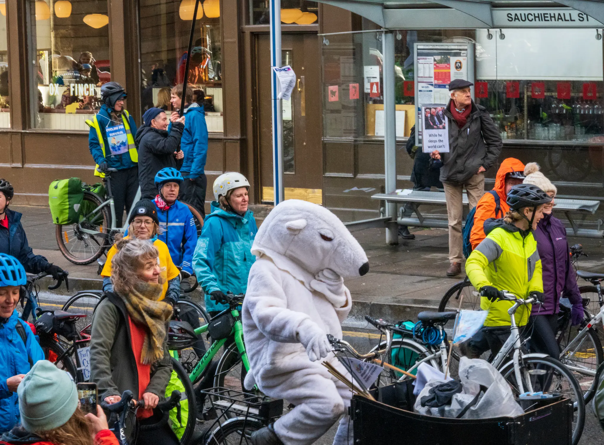 polar bear costume on protestor