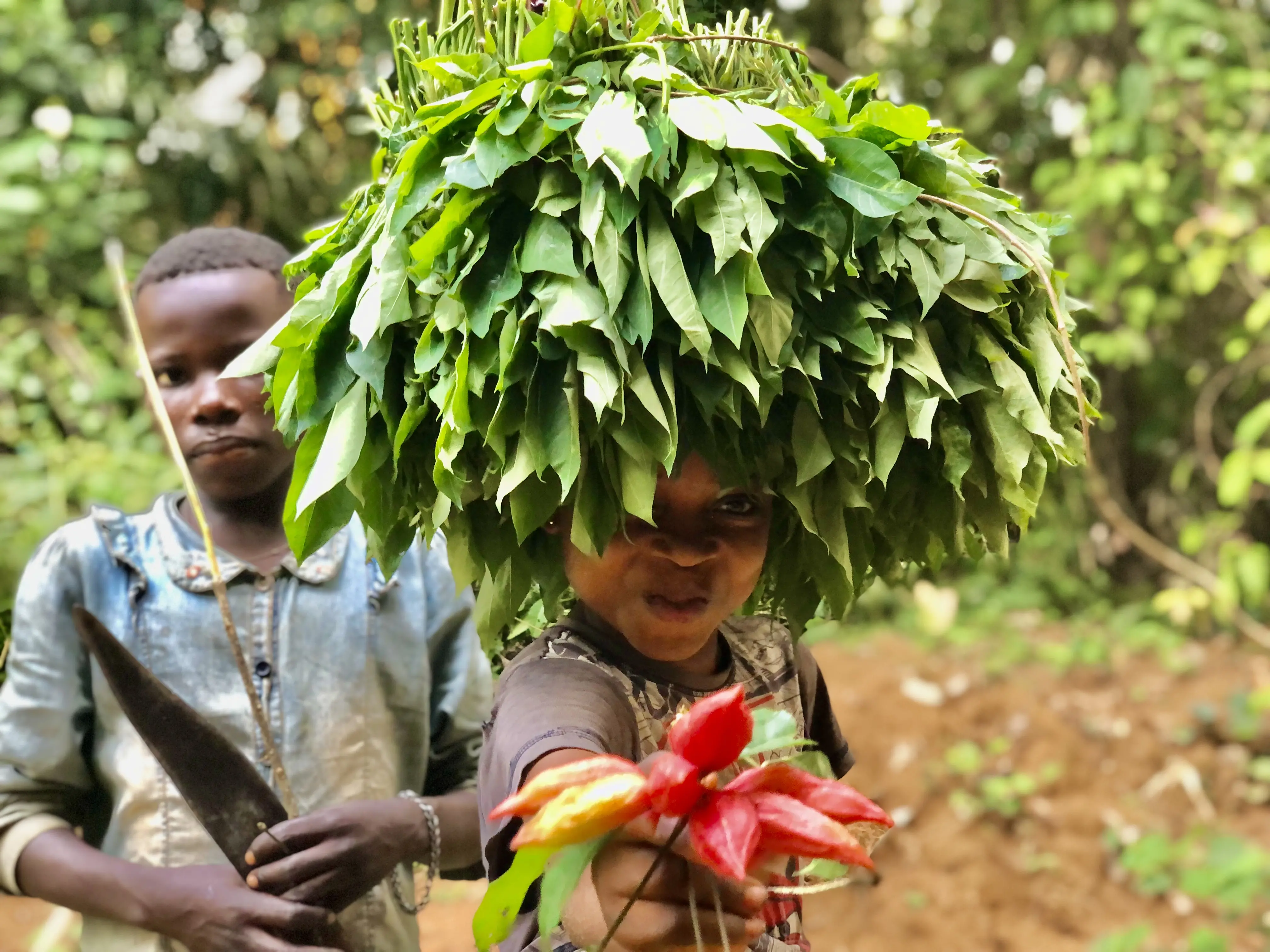 A child wears a bunch of leaves on their head, smiles, and shows red fruits to the camera. Another child stands behind her with a knife and stick.