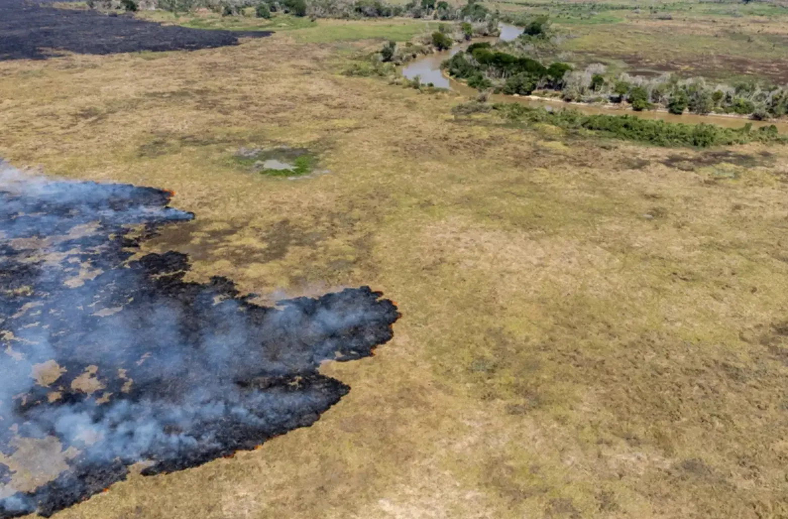 The fire advances through dry areas of a Brazilian state park