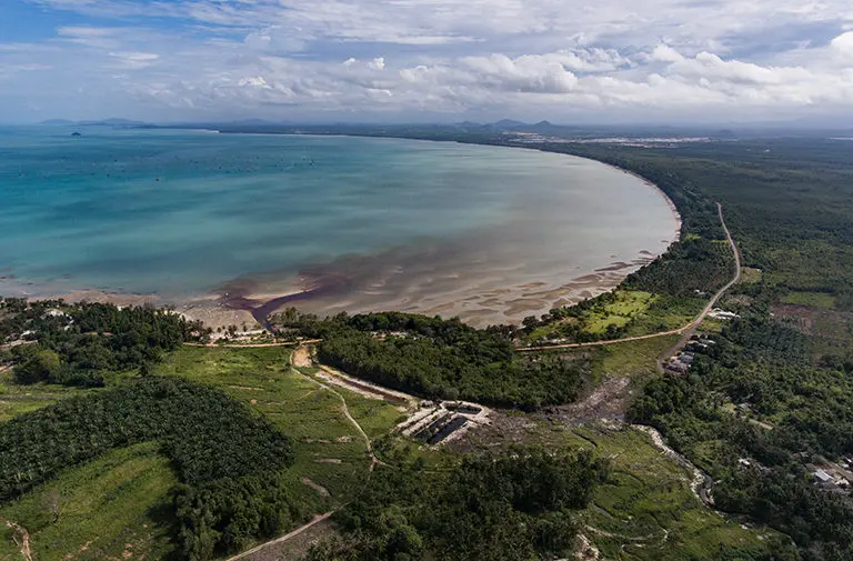 rows of trees line the edge of a shore where reddish brown water drains into a bright turquoise ocean. 