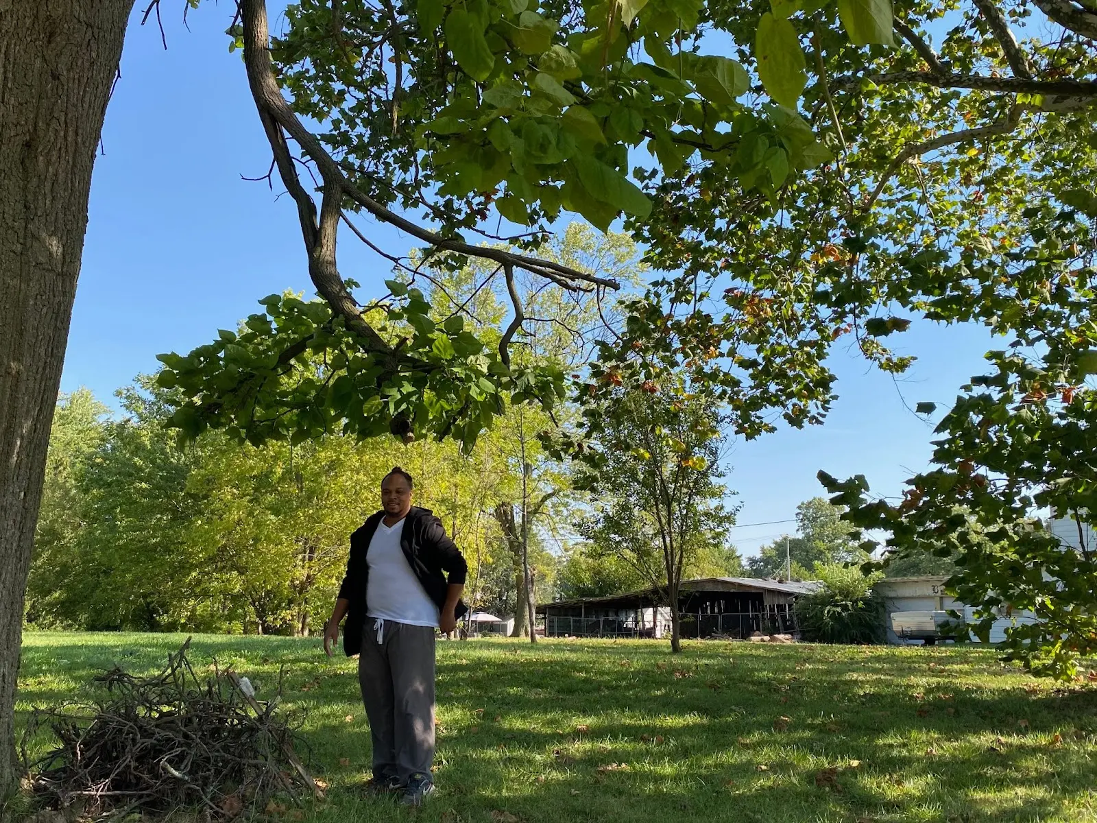 Man stands out new lot in Lima Ohio, piling up beech tree branches. 