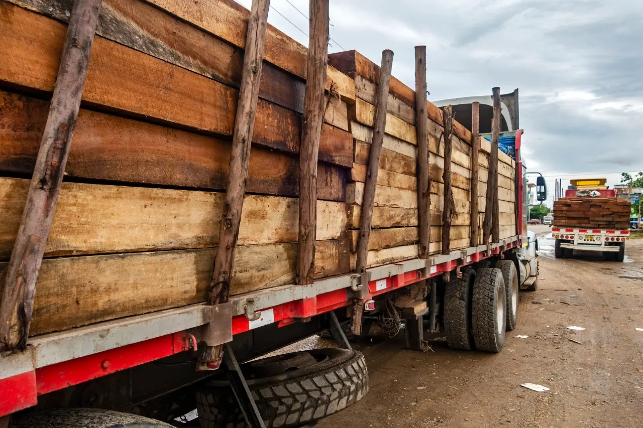 A truck loaded with logs