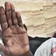 Raw gold in Selvin's palm. Image by William Campbell Rawlins. Guyana, 2017.