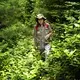 Sally Kwan hikes through what once was a logging road but now filled with young growth forest in T5 R7 in the Unorganized Territories of western Maine wilderness near the border with Canada on July 22, 2019. Image by Michael G. Seamans. United States, 2019.
