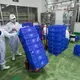 Refrigerated bags of fresh milks are moved at the Pakchong Dairy Cooperative. Image by Mark Hoffman. Thailand, 2019. 
