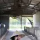 Organic calf nursery worker Binh Thi Dinh adjusts her hat underneath the powerful fans used to keep the cattle cool at TH Milk's operations in Nghia Son, Vietnam. Image by Mark Hoffman. Vietnam, 2019. 