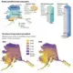 Graphic courtesy of The Seattle Times. United States, 2019.