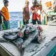Operation Jodari in Tanzania Buah Naga 1 inspection. Image by Jax Oliver/Sea Shepherd. Tanzania, 2018.
