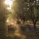 Dust from farm activities and other disturbances accounts for up to 15 percent of the total PM2.5 in some parts of the region. Image by Larry C. Price. California, 2018.