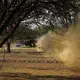 Both fine and coarse particulate pollution are a persistent problem in the valley, and not just for agricultural workers. Image by Larry C. Price. California, 2018.