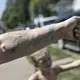 Brittany Cunningham 31, shows off her tattoo which reads, 'Love Yourself' on her left forearm in Nelsonville, Ohio. Image by Wong Maye-E/AP Photo. United States, 2020.