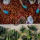 Volunteers pack vegetables at the village center for distribution to the entire village under quarantine. Image by Xyza Bacani. Philippines, 2020.